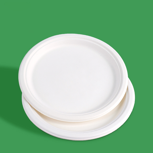 Custom Service Compostable sugarcane pulp products plate (5)