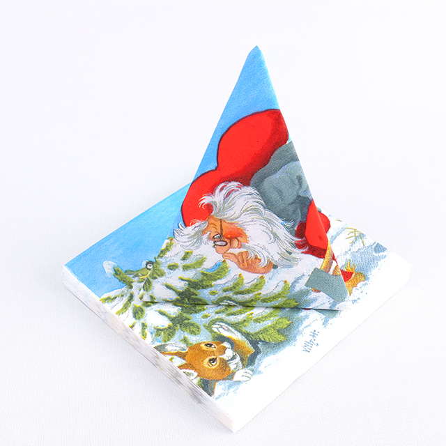 Custom Printed Tissue Paper (3).jpg