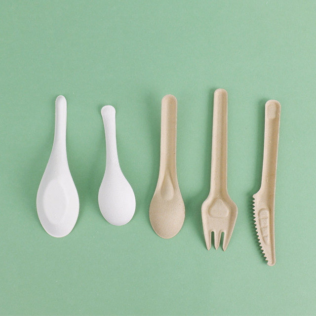 Custom Service Compostable sugarcane pulp products Spoon Fork Knife (2).jpg