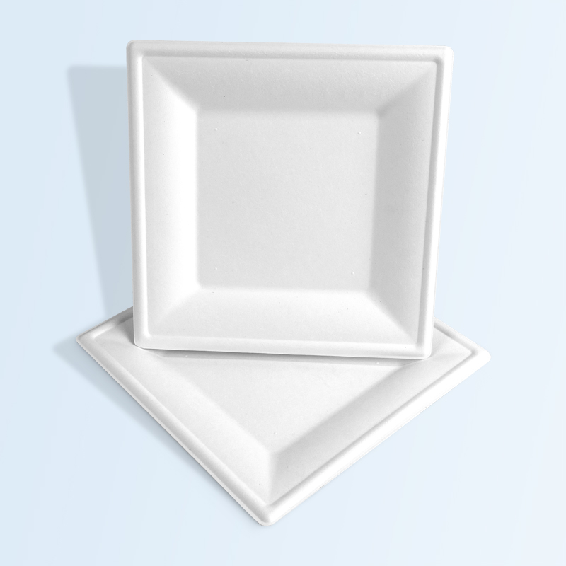 Eco Biodegradable Square Plate Food Container