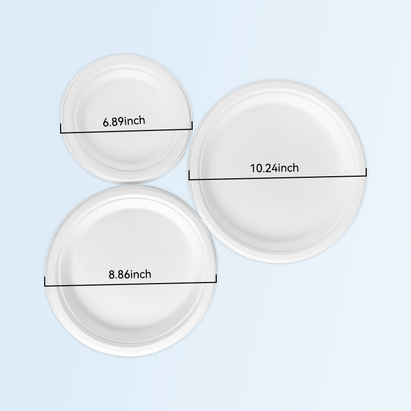 Biodegradable Sugarcane Bagasse Plates Composta...