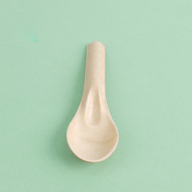 Custom Service Compostable sugarcane pulp products Spoon Fork Knife (5).jpg