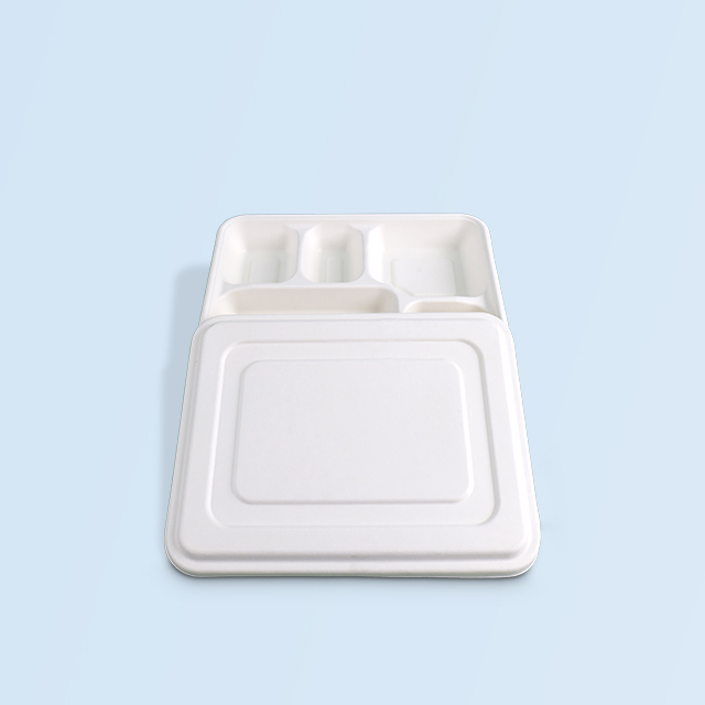 SenCai Square Dining Plate with Partition Food ...