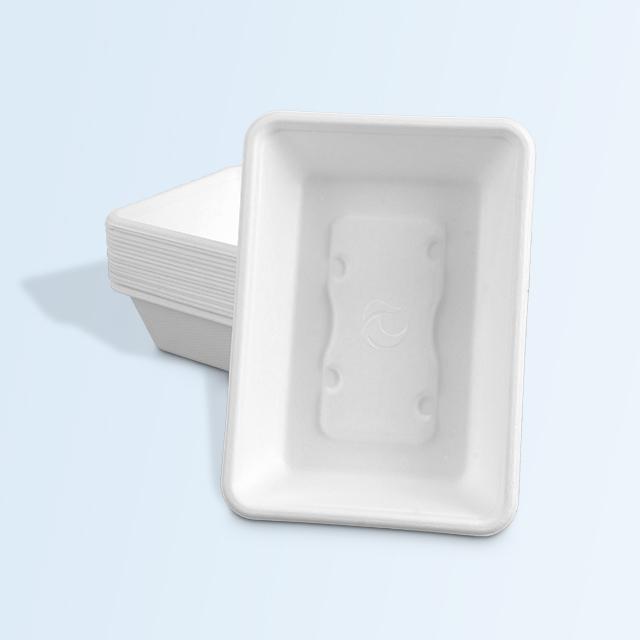 Eco Biodegradable Square Lunch Box Food Container