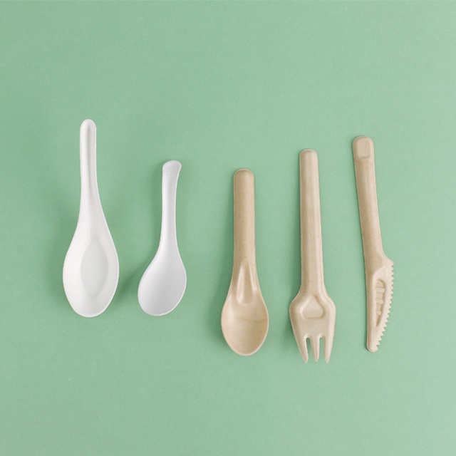 Custom Service Compostable sugarcane pulp products Spoon Fork Knife