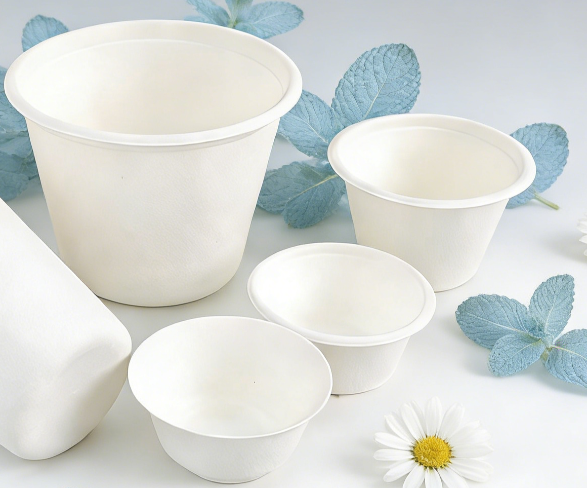 Beat Plastic Bans with Paper & Bagasse Food Packaging