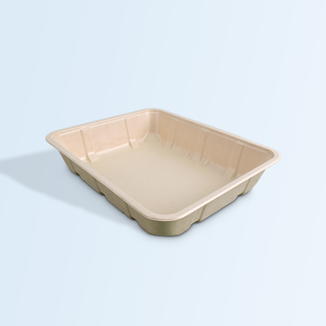 SenCai Bagasse Biodegradable Compost Square Dining Plate Food Container Large Model