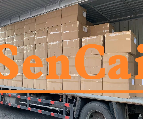 On the Dock and On the Move: A Snapshot of SENCAI Precision in Export