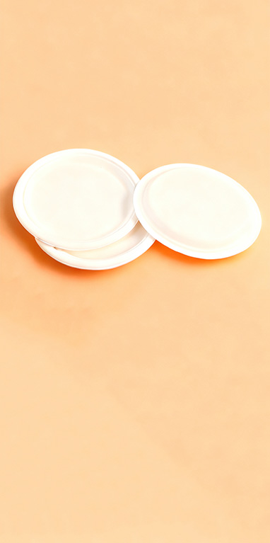 Sugarcane Pulp Products