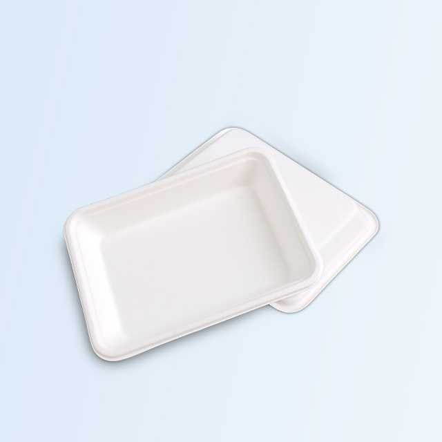 SenCai Square Plate Recyclable Sugarcane Bagasse Plate Food Container