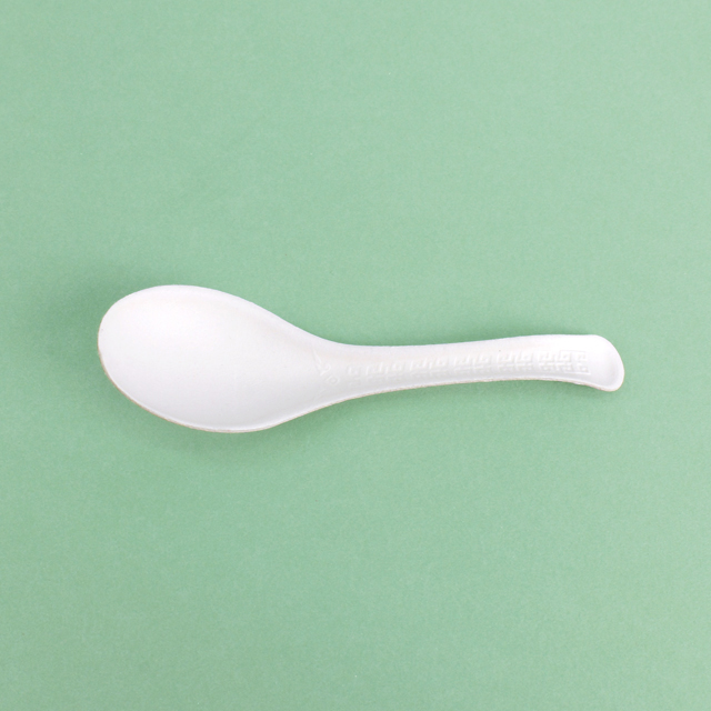 Custom Service Compostable sugarcane pulp products Spoon Fork Knife (6).jpg