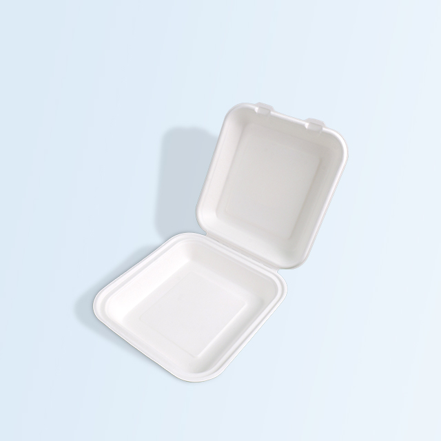 Green and Recyclable Sugarcane Bagasse Meal Bowls Lunch Takeout Container