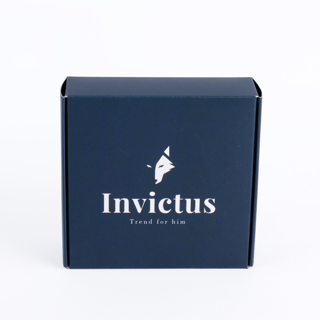 Custom Art Paper Box Double-Sided Printed Aircraft Gift Packaging Box