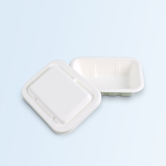 SenCai Sugarcane Bagasse Lunch Fast Food Box wi...