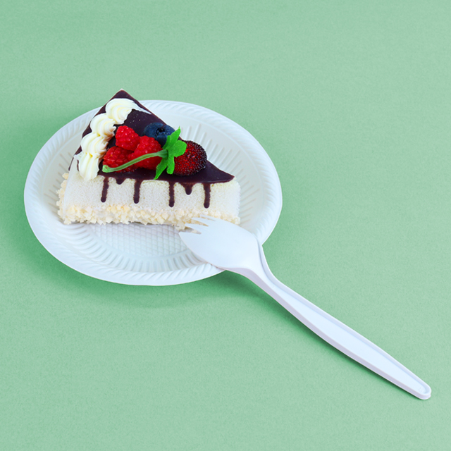 Eco-friendly Sugarcane Bagasse Tableware Cake Plates Forks