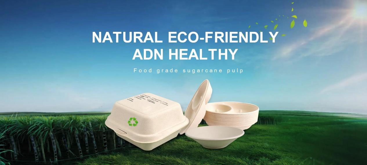 How to Find a Custom Compostable Food Container Manufacturer in China with EN 13432 and ASTM D6400 Certification?