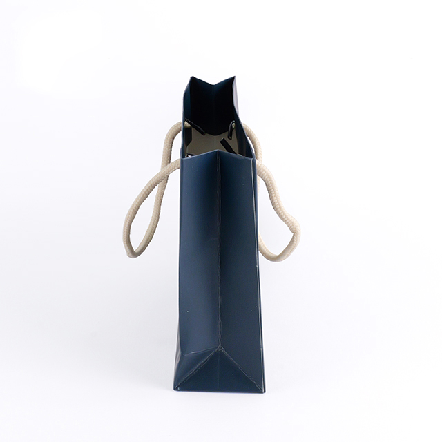 Recyclable Biodegradable Custom Paper Bags (4).jpg