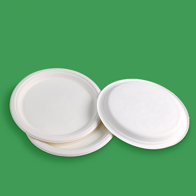 Custom Service Compostable sugarcane pulp products plate (1).jpg