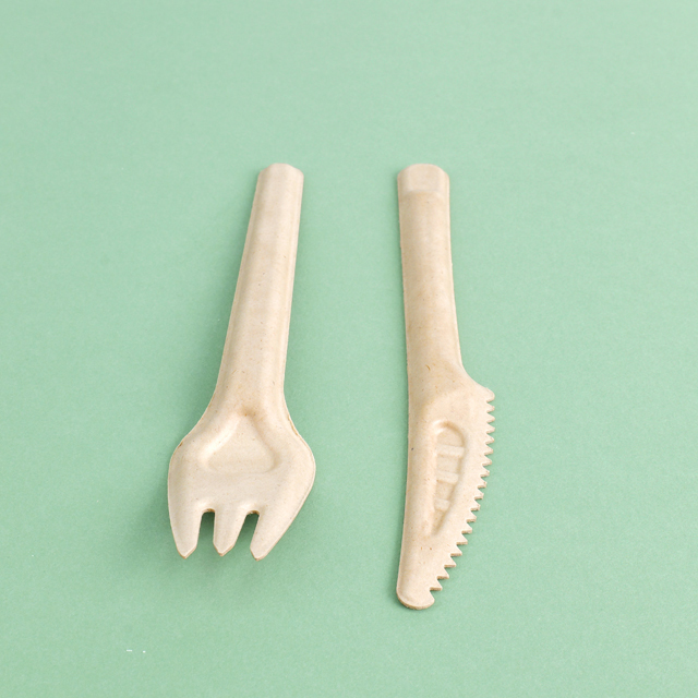 Custom Service Compostable sugarcane pulp products Spoon Fork Knife (4).jpg
