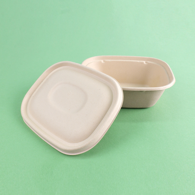 Sugarcane Bagasse Bowl Square Green and Environmentally Friendly Packaging and Delivery