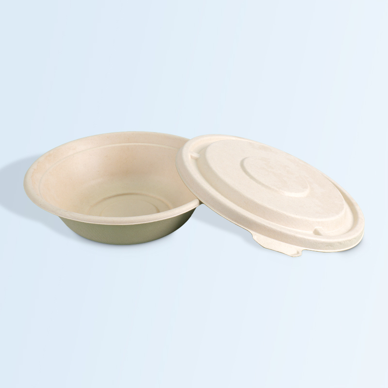 Eco Biodegradable Takeout Lunch Box with Lid